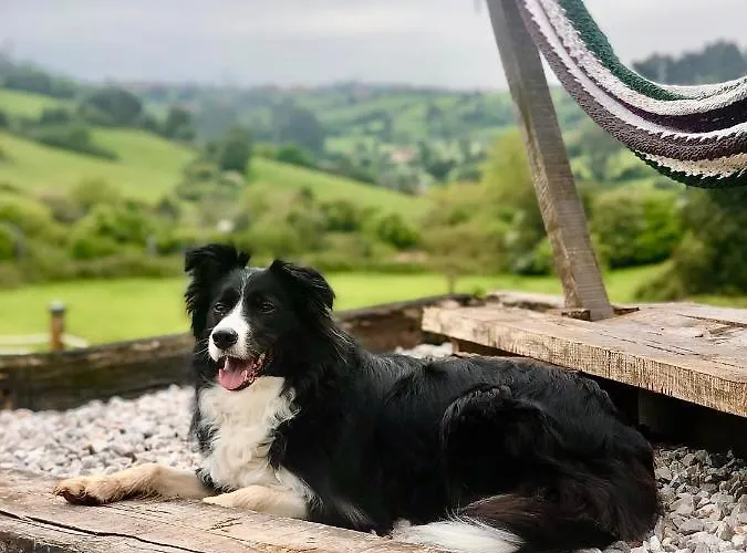 Glamping Quintana ラグジュアリーテント