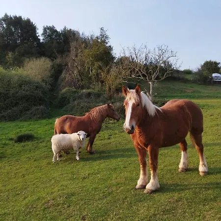 Campismo de Luxo Glamping Quintana