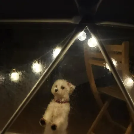 Campismo de Luxo Glamping Quintana