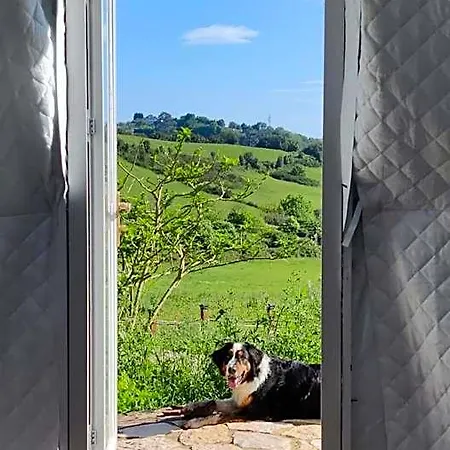 Glamping Quintana Gijón