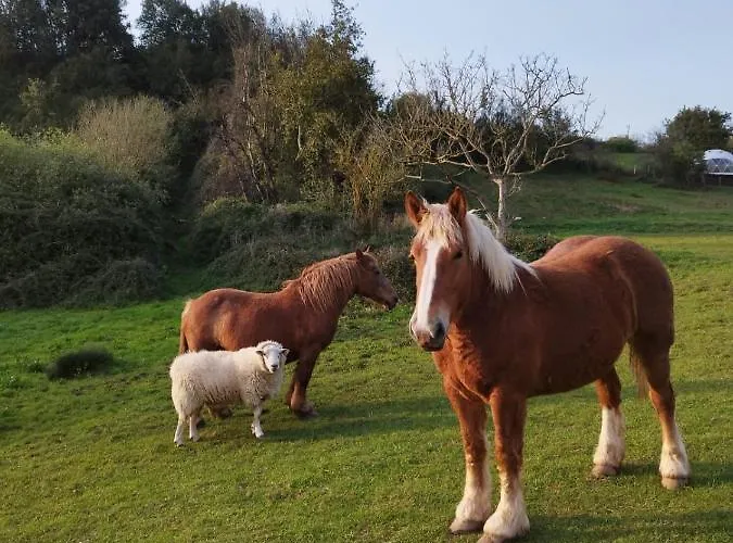 Luxe tent Glamping Quintana