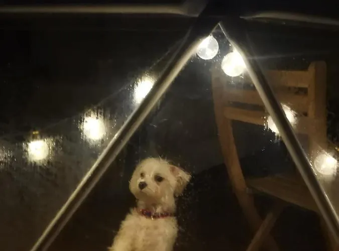 豪华帐篷 Glamping Quintana